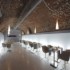 Hotel Petit Palace Art Gallery  photo 12