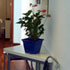 Apartamento Gran Via Chueca 2 photo 7