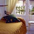 hostal pez azul madrid