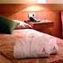 Hotel Amura Alcobendas photo 7