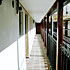 Estudio Ave Maria photo 4