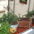 Chueca Estudio photo 5