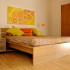 book Saura Attic