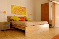 book Saura Attic 