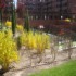Apartamento Ifema 3 photo 11
