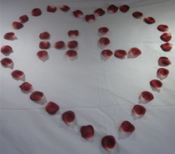 Romantic Night