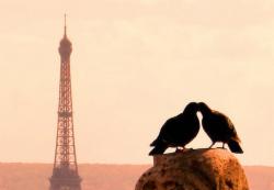 Nuit Romantique
