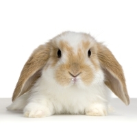 Easter Package from € 119.15. Book now!