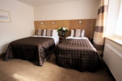 book Blooms Hotel