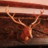 Dobbins Inn Hotel photo 6
