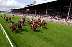 Racing @ The Curragh From £119