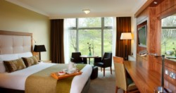 Room Only Rates
