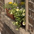 Abbott Lodge Guesthouse photo 4