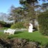 Tinakilly House Hotel photo 2
