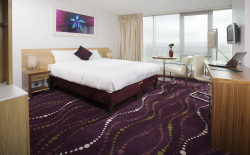 Louis Fitzgerald Hotel photo 5