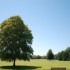 Phoenix Park Guesthouse photo 6