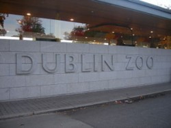 Dublin Zoo Family Package