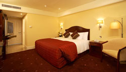 Regency Hotel Dublin photo 4