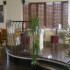 Abberley Court Hotel and Apartments Dublin photo 3