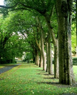 Herbert Park Hotel photo 13