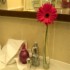 Oranmore Lodge Hotel photo 9