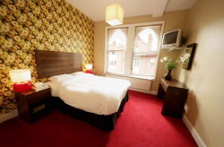book Grafton Guesthouse