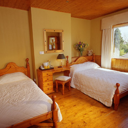 book Airport Lodge B&B