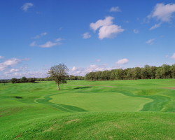 Castleknock Hotel photo 12
