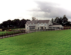 book Pines Country House Hotel