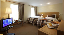 About O Callaghan Alexander Hotel
