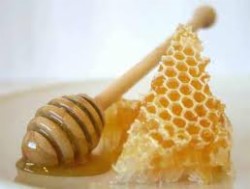 Dundrum House Hotel - Honey Bees & Gardening