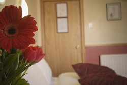 Glen Guesthouse photo 5