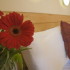 Glen Guesthouse photo 6