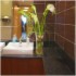 Ashford Court Boutique Hotel photo 8
