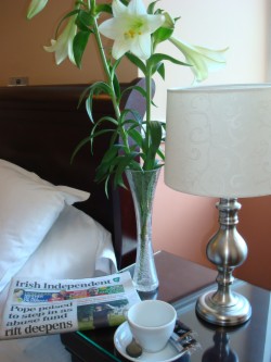 book Cahir House Hotel