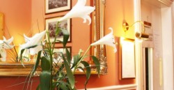 About Egans Guesthouse Glasnevin
