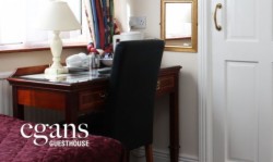 Egans Guesthouse Glasnevin photo 21