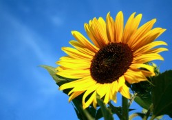 Bank Holiday Offers From €129.00