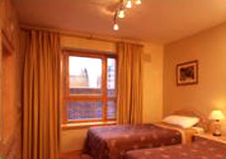 Shaw Court Apartments photo 3