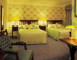 book Arbutus Hotel