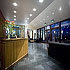 Ballyroe Heights Hotel photo 7
