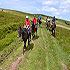 Dairy Guesthouse and Activity Centre photo 3