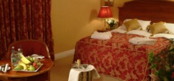 book Ardboyne Hotel