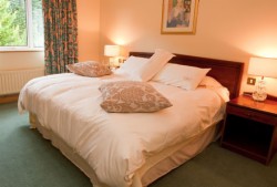 Room Only Rate (Single Room) from 55Eur Per Room