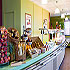 Ibis Hotel Dublin West photo 4