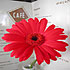 Ibis Hotel Dublin West photo 5