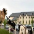 Clanard Court Hotel photo 13