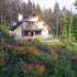 Aherlow House Hotel & Lodges photo 4