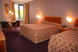 book Newpark Hotel