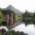 Ballynahinch Castle Hotel photo 9
